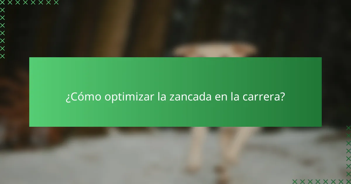 ¿Cómo optimizar la zancada en la carrera?