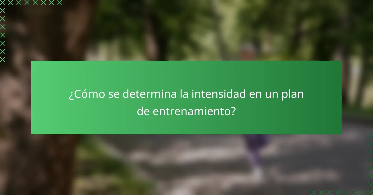 ¿Cómo se determina la intensidad en un plan de entrenamiento?