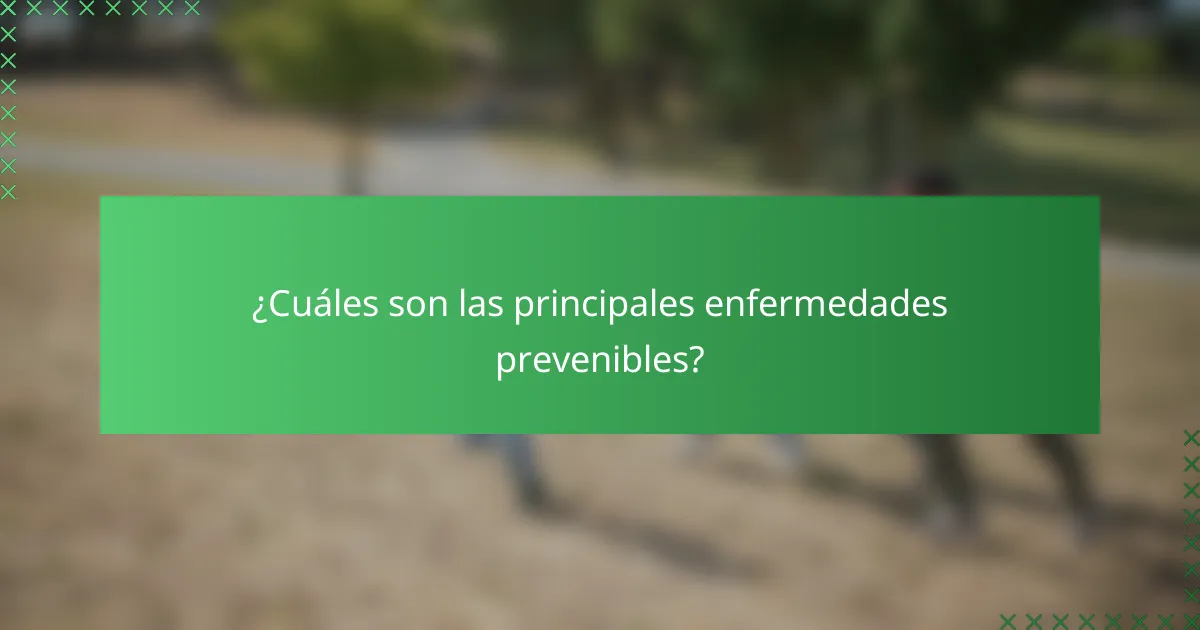 ¿Cuáles son las principales enfermedades prevenibles?