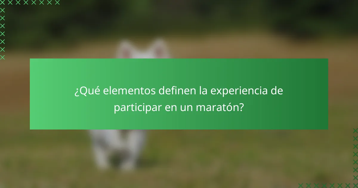 ¿Qué elementos definen la experiencia de participar en un maratón?