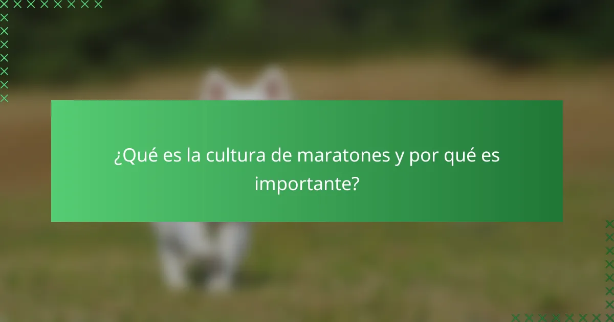 ¿Qué es la cultura de maratones y por qué es importante?